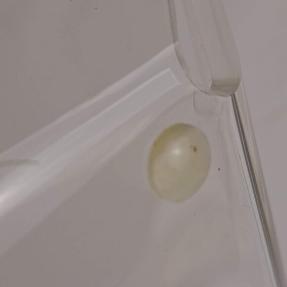 "Go Your Own Way" Clear Rectangular Acrylic Tray Gold Graphic Arrow NWOT - Picture 3 of 5